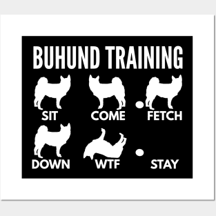 Buhund Training Norwegian Buhund Tricks Posters and Art